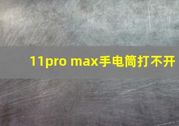 11pro max手电筒打不开